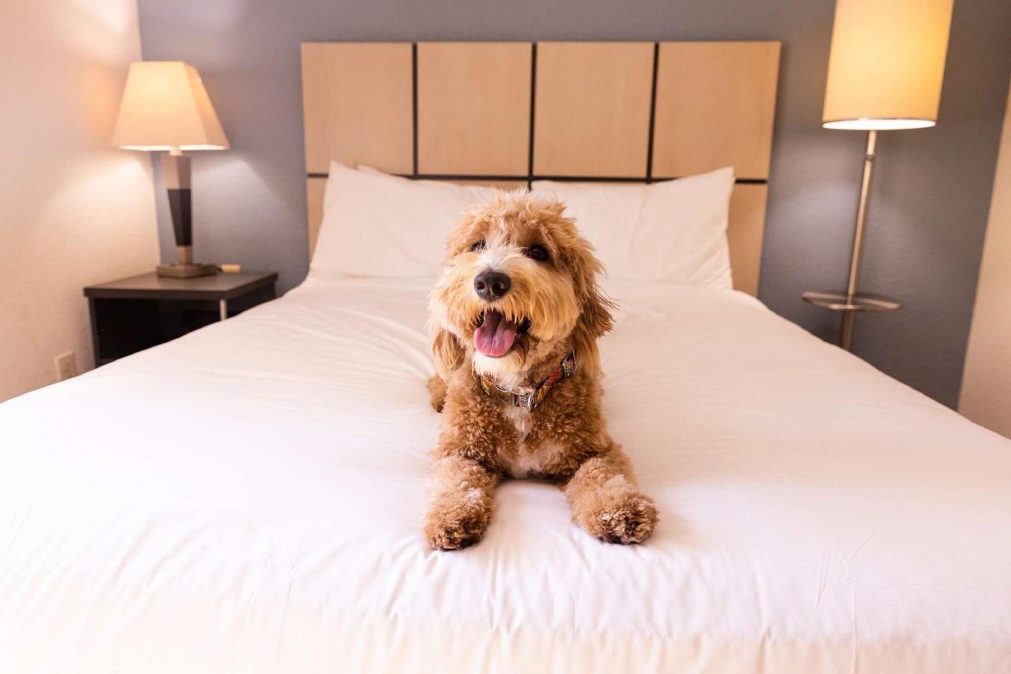 Sonesta Simply Suites Denver West Federal Center Lakewood Dış mekan fotoğraf